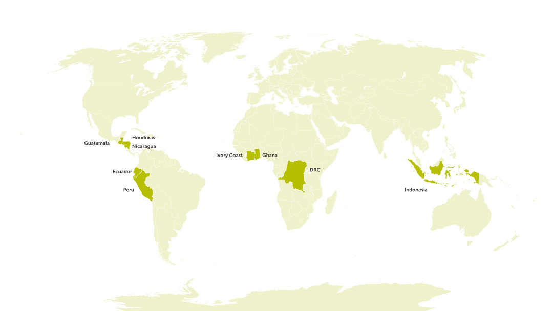 Global programmes Sustainable cocoa and coffee